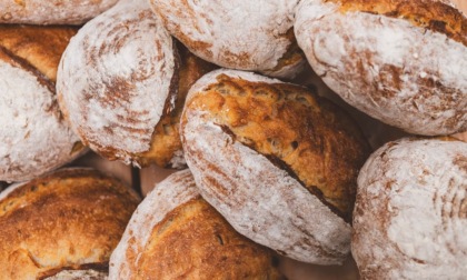 Pane e panettieri d'Italia 2025, ecco i panifici Trevigiani nella guida di Gambero Rosso