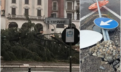 Maltempo nella Marca, grandine e vento fino a 150 km/h: alberi caduti e tetti scoperchiati