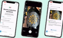 Stop alle contraffazioni, per proteggere il Prosecco DOC scende in campo l'intelligenza artificiale