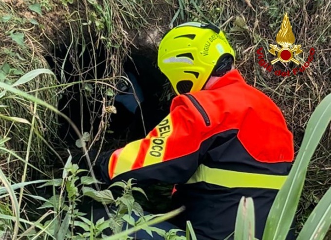 Scomparsa da due giorni, viene ritrovata morta Alessandra Gallina: le ricerche si concludono in tragedia