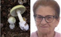 Mangia funghi velenosi, Ermelinda Aiello muore dopo 10 giorni di agonia