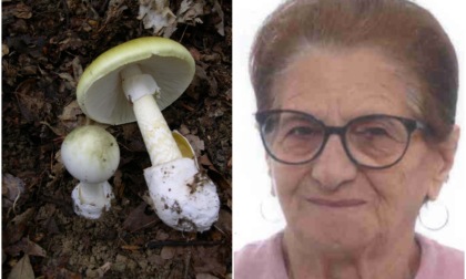 Mangia funghi velenosi, Ermelinda Aiello muore dopo 10 giorni di agonia