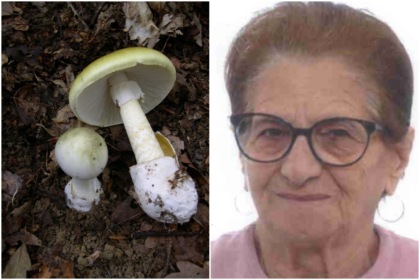 Mangia funghi velenosi, Ermelinda Aiello muore dopo 10 giorni di agonia