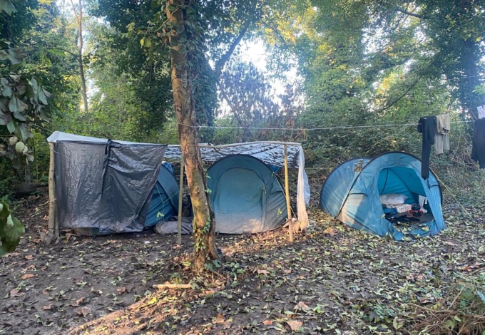 Coltivavano 100 piante di marijuana in un campo agricolo di Roncade all’insaputa del proprietario