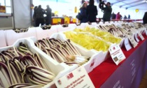 "Fiori d'Inverno", torna la rassegna dedicata al radicchio: gli appuntamenti fino a marzo 2025