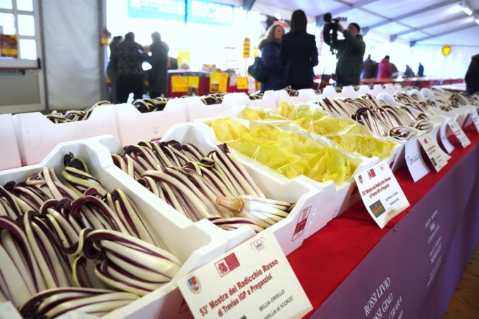 “Fiori d’Inverno”, torna la rassegna dedicata al radicchio: gli appuntamenti fino a marzo 2025