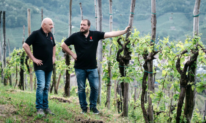Vino senza alcol? La Francesco Follador : “Troppo romanticismo idealizzato, ci sono problemi pratici”