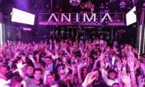 Rissa in discoteca a Spresiano, coinvolto Ferdinando Benetton: scatta la multa