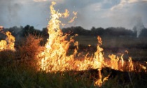 Notte di paura a Soligo: incendio doloso sul Colle San Gallo
