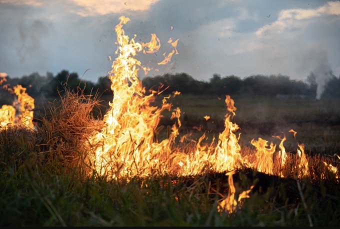 Notte di paura a Soligo: incendio doloso sul Colle San Gallo