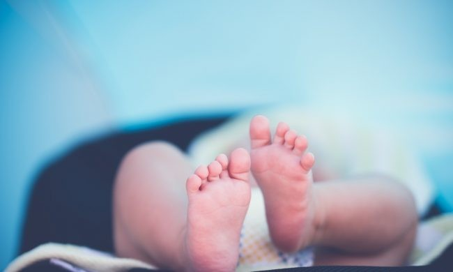Rapporto demografico Istat, calo della natalità a Treviso pari al 42%