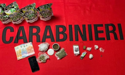 Oltre mezzo chilo di marijuana in casa, arrestato 18enne