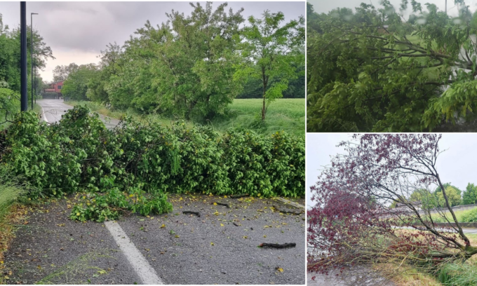Maltempo in provincia di Treviso, alberi caduti e strade bloccate