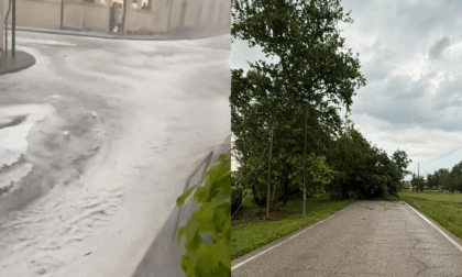 Violenta grandinata in provincia di Treviso: strade allagate, alberi abbattuti e danni ai vigneti
