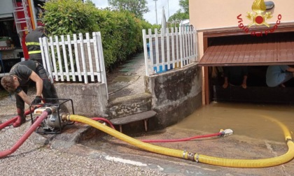 Maltempo in provincia di Treviso, allagamenti e alberi caduti a Ponte di Piave e Salgareda
