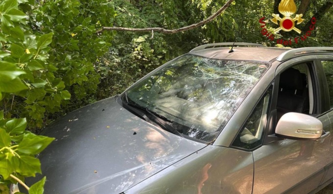 Paura a Nervesa della Battaglia: albero crolla su un’auto, conducente illesa