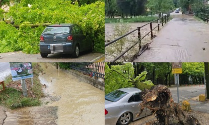 Il maltempo si abbatte sulla provincia di Treviso. Esonda il fiume Soligo: allagamenti e alberi caduti