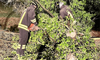 Maltempo a Treviso: oltre 100 interventi dei vigili del fuoco