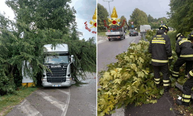 Maltempo in provincia di Treviso, alberi caduti e rami pericolanti per la pioggia e il forte vento