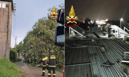 Maltempo a Castelfranco Veneto, alberi abbattuti da forte vento e grandine