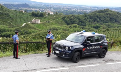 18enne italiano arrestato per tentato furto in un magazzino