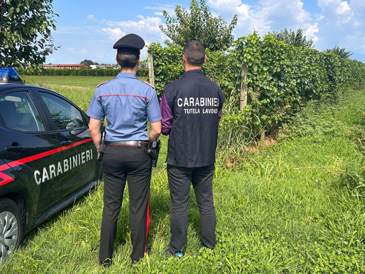 Controlli dell’Ispettorato del lavoro dei Carabinieri nelle aziende agricole, sanzioni totali per 90mila euro