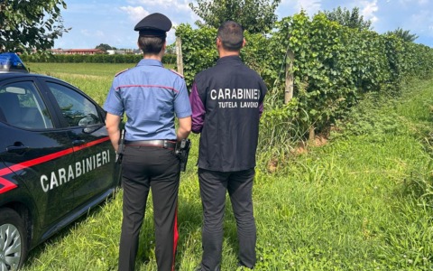 Controlli dell’Ispettorato del lavoro dei Carabinieri nelle aziende agricole, sanzioni totali per 90mila euro