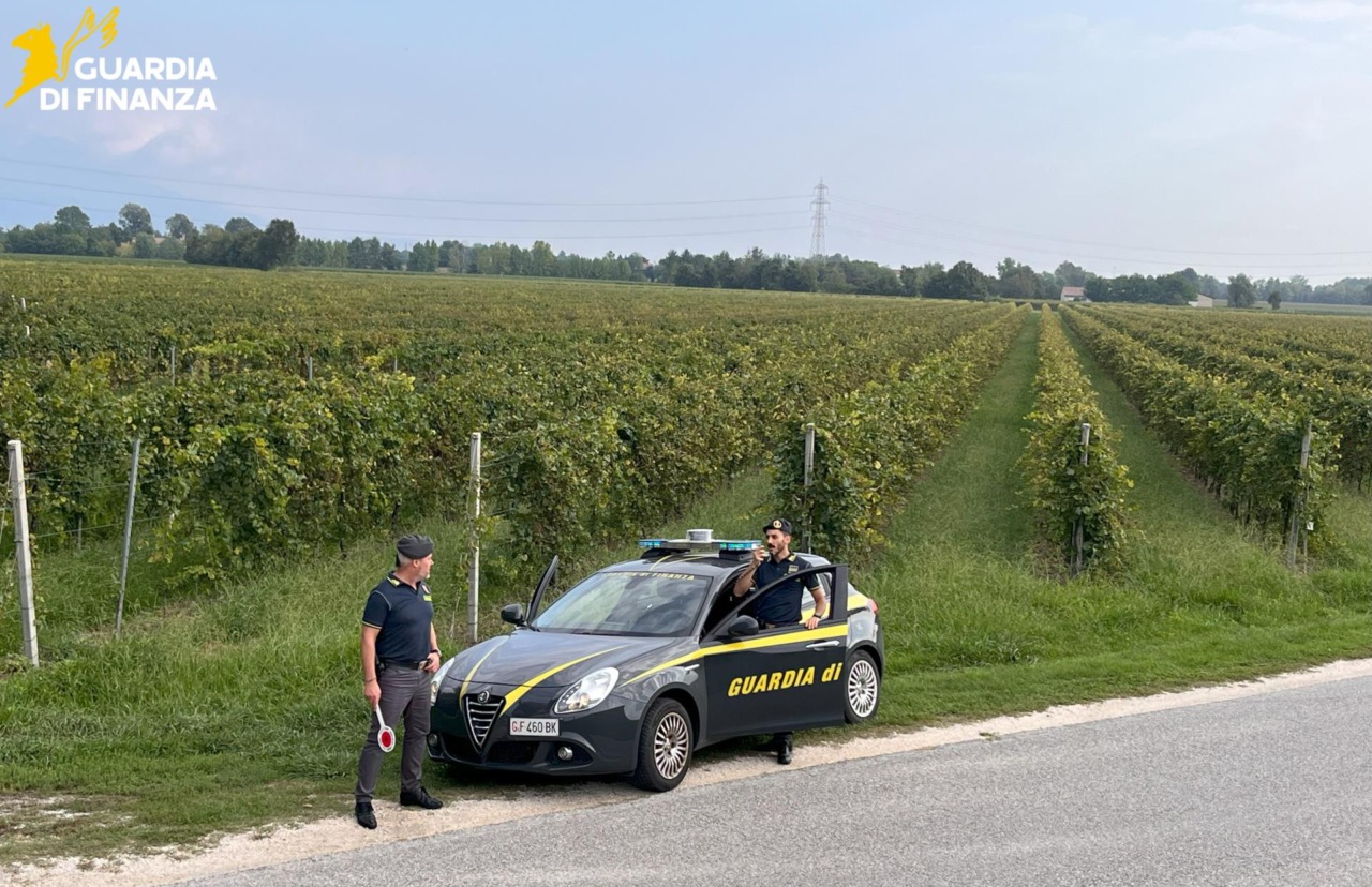 Controlli nelle aziende agricole durante la vendemmia: scoperti 14 braccianti in nero, tra cui un minore