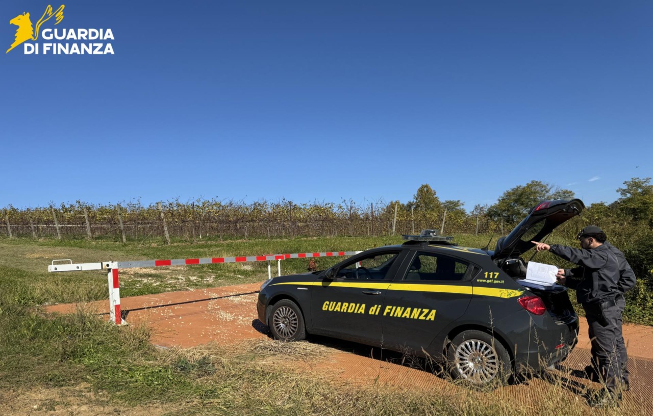 Braccianti in nero per la vendemmia: sospetto appalto illecito in un vitigno del Prosecco a Valdobbiadene