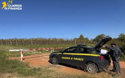 Braccianti in nero per la vendemmia: sospetto appalto illecito in un vitigno del Prosecco a Valdobbiadene