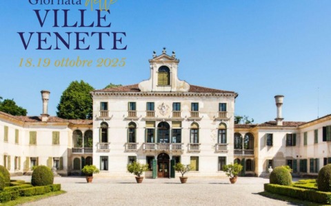 Cosa fare a Treviso e provincia nel weekend: eventi di sabato 18 e domenica 19 ottobre 2025