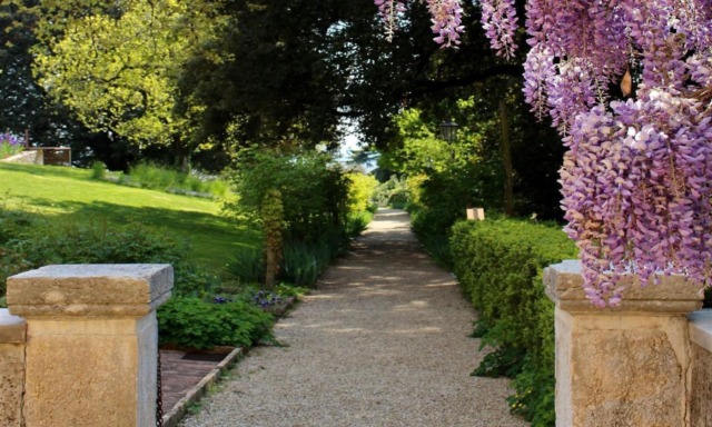 Cosa fare a Treviso e provincia nel weekend: eventi di sabato 25 e domenica 26 ottobre 2025