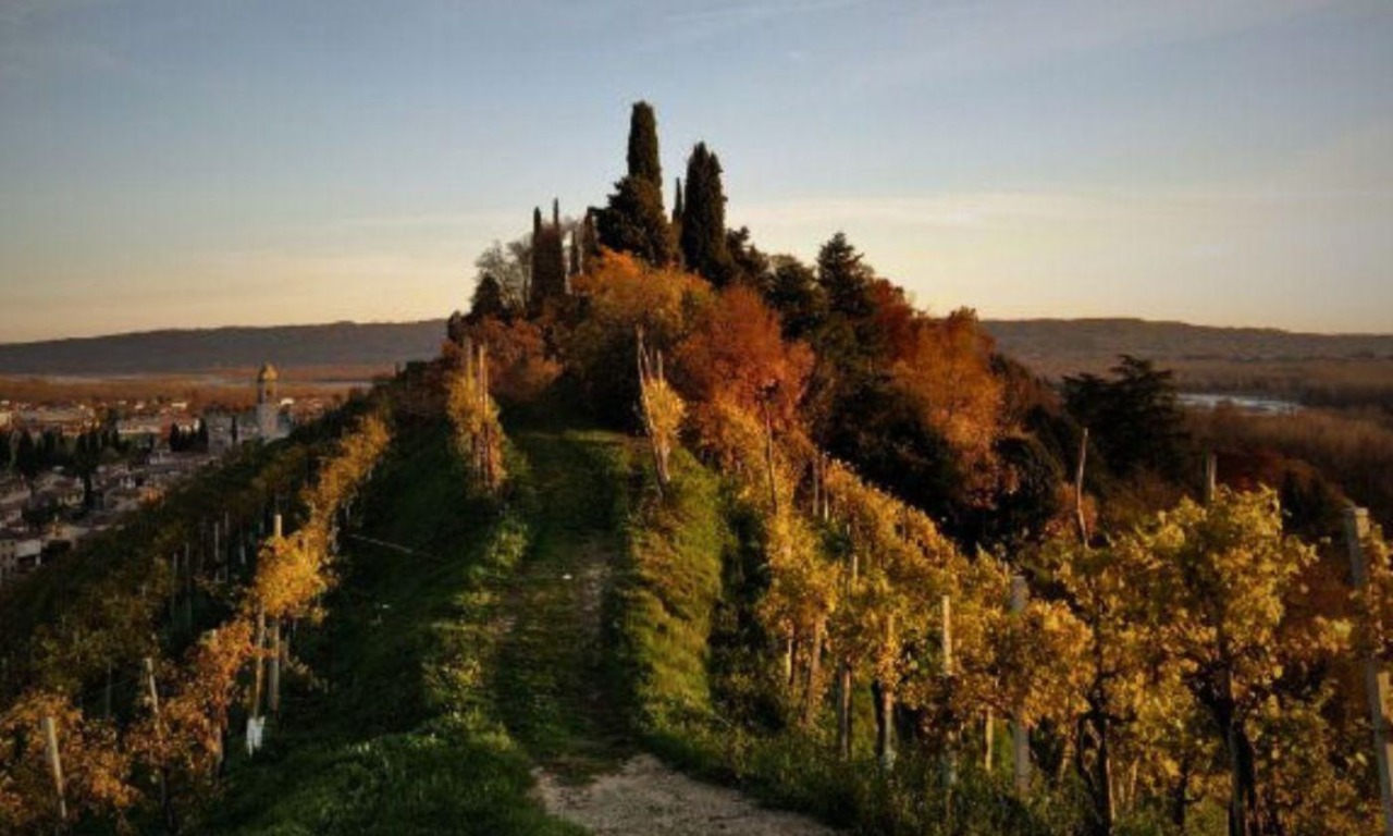 Cosa fare a Treviso e provincia nel weekend: eventi di sabato 1 e domenica 2 novembre 2025