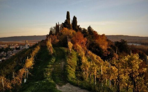 Cosa fare a Treviso e provincia nel weekend: eventi di sabato 1 e domenica 2 novembre 2025