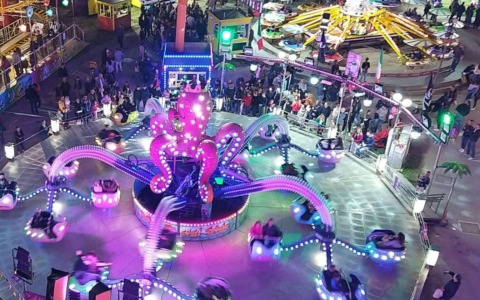 Cosa fare a Treviso e provincia nel weekend: eventi di sabato 11 e domenica 12 ottobre 2025