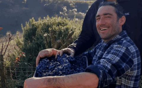 Imprenditore agricolo 44enne perde la vita schiacciato in una pressa per l’uva