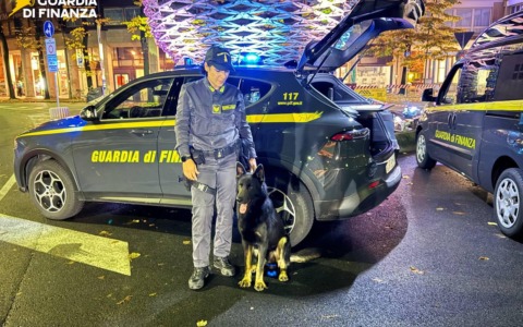 Controlli di Halloween: la Guardia di Finanza scova 22 lavoratori in nero