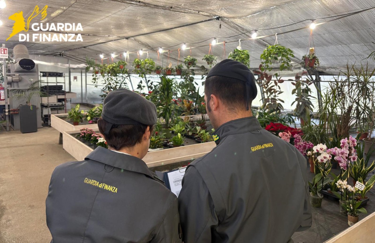 Titolare di una serra devia gli utili nell’impresa agricola della sorella, così non ha dichiarato ricavi per 10 milioni di euro