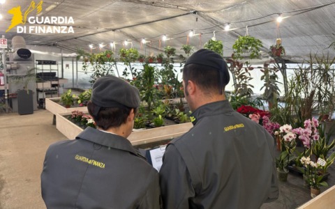 Titolare di una serra devia gli utili nell’impresa agricola della sorella, così non ha dichiarato ricavi per 10 milioni di euro