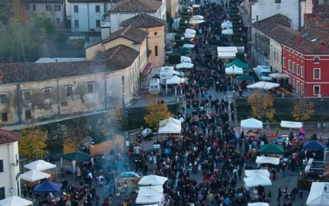 Cosa fare a Treviso e provincia nel weekend: eventi di sabato 8 e domenica 9 novembre 2025