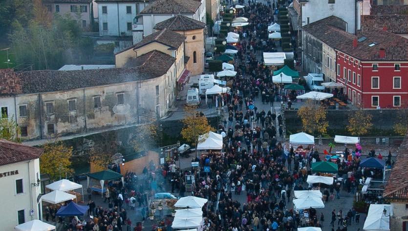 Cosa fare a Treviso e provincia nel weekend: eventi di sabato 8 e domenica 9 novembre 2025