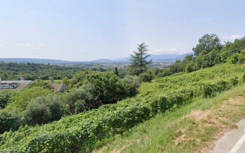 Bracciante 65enne trovato morto lungo la strada: malore improvviso dopo il lavoro nei vigneti di Collalto