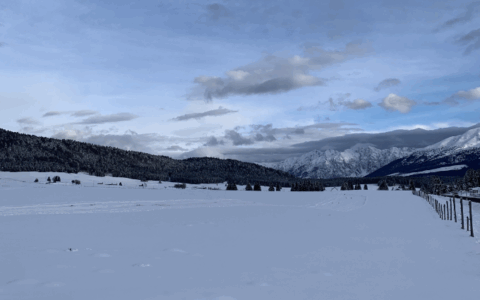 Cosa fare a Treviso e provincia nel weekend: eventi di sabato 3 e domenica 4 gennaio 2026