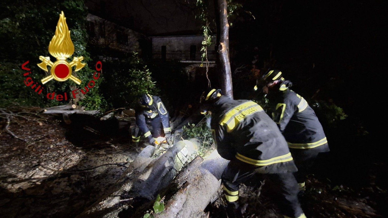 Maltempo a Treviso: alberi caduti, ostacoli e pali pericolanti per il forte vento