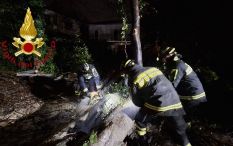 Maltempo a Treviso: alberi caduti, ostacoli e pali pericolanti per il forte vento
