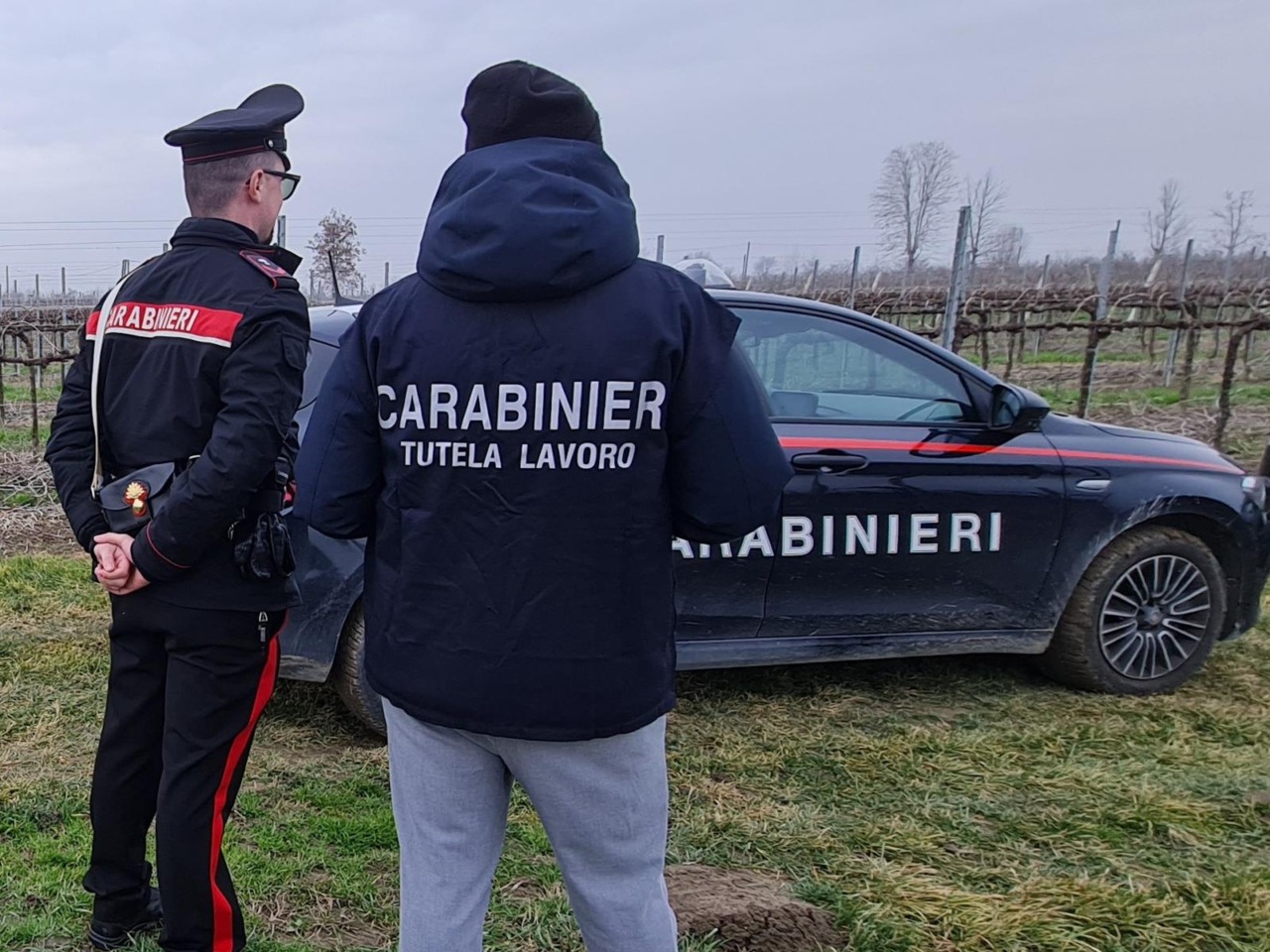 Lavoratori in nero e violazioni su sicurezza e obblighi sanitari: 4 attività sospese e sanzioni per 250mila euro a Treviso