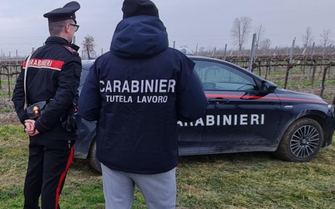 Lavoratori in nero e violazioni su sicurezza e obblighi sanitari: 4 attività sospese e sanzioni per 250mila euro a Treviso