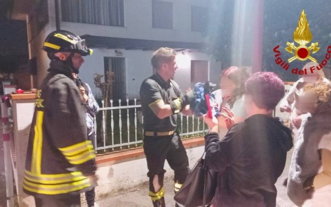 Gattino si incastra in un pozzetto: salvato dai vigili del fuoco