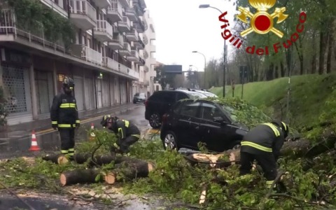 Il maltempo si è abbattuto sulla Marca: 15 interventi dei vigili del fuoco